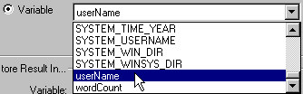 image\Action_Count_Words_Variable.jpg