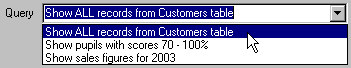 image\Action_Database_Query_Option.jpg