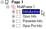 image\Action_MultiFrame_To_Frame_Organiser.jpg