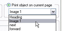 image\Action_Print_Object.jpg