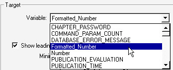 image\Action_Variable_Format_Target.jpg