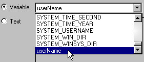 image\Actions_Storage_Registry_Write_Variable.jpg