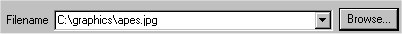 image\Image_Properties_Filename.jpg