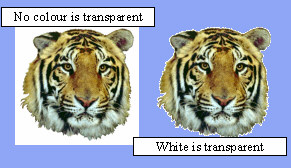 image\Image_Properties_Transparent_Example.jpg