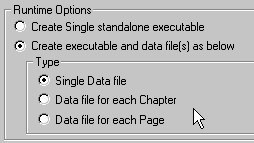 image\Publish_Settings_General_Runtime.jpg