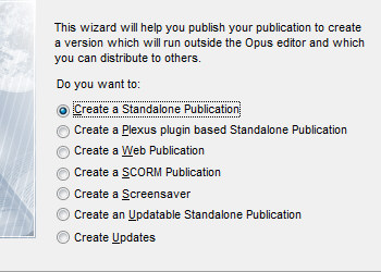 image\Publlish_Wizard_Create_Options.jpg
