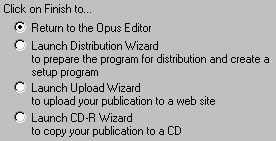 image\Publlish_Wizard_Finish_Options.jpg