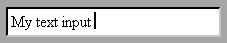 image\Text_Input_Object_Style_Custom.jpg